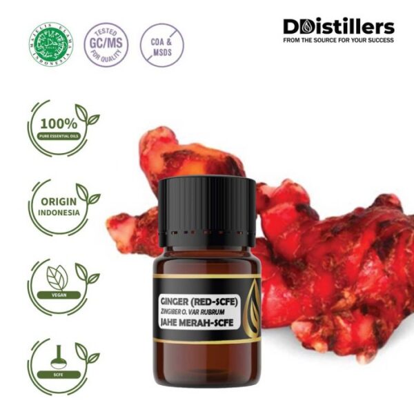 Ginger (Red SCFE) / Jahe Merah Essential Oil Pure 100%, 2-10ML GS