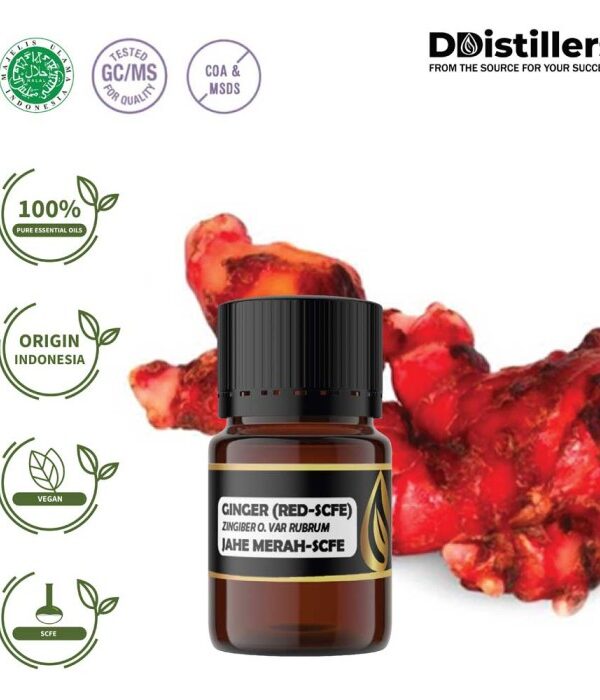 Ginger (Red SCFE) / Jahe Merah Essential Oil Pure 100%, 2-10ML GS
