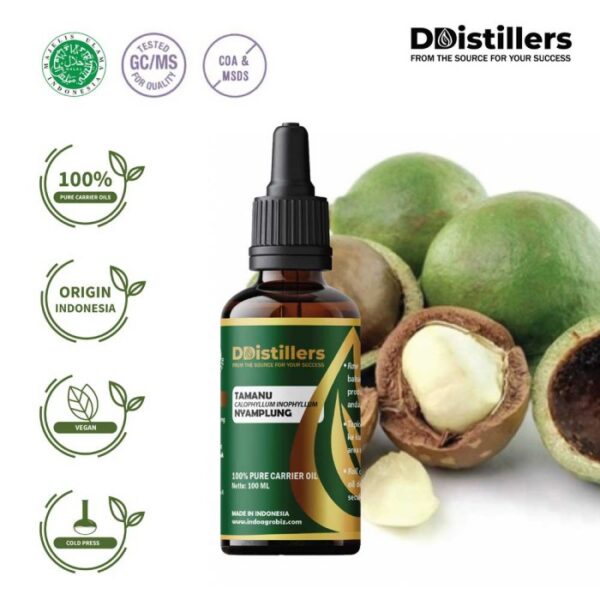 Tamanu / Nyamplung Carrier Oil Pure 100%, 50-100ML GS