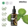 Basil (Sweet) / Selasih Essential Oil Pure 100%, 50-100ML GS