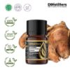 Kaempferia / Aromatic Ginger / Kencur Essential Oil Pure 100%, 2-10ML GS