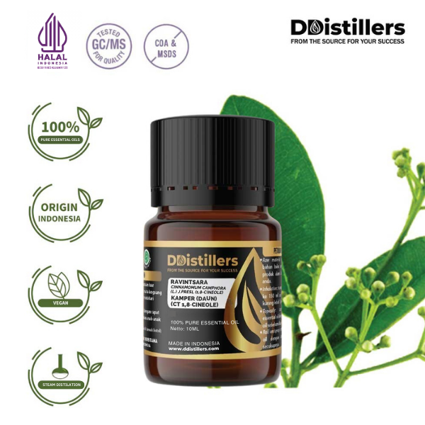 116665ad94354416b1a7553865871063.png Ravintsara / Daun Kamper (CT 1,8-Cineol) Essential Oil Pure 100%, 2-10ML GS
