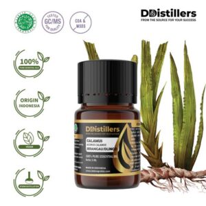 Calamus / Sweet Flag / Jerangau / Dlingo Essential Oil Pure 100%, 2-10ML GS