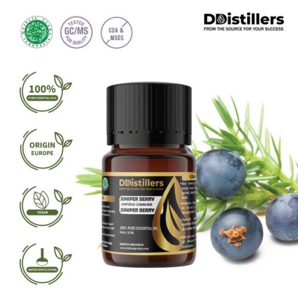 Juniper Berry / Juniper Berry Essential Oil Pure 100%, 2-10ML GS