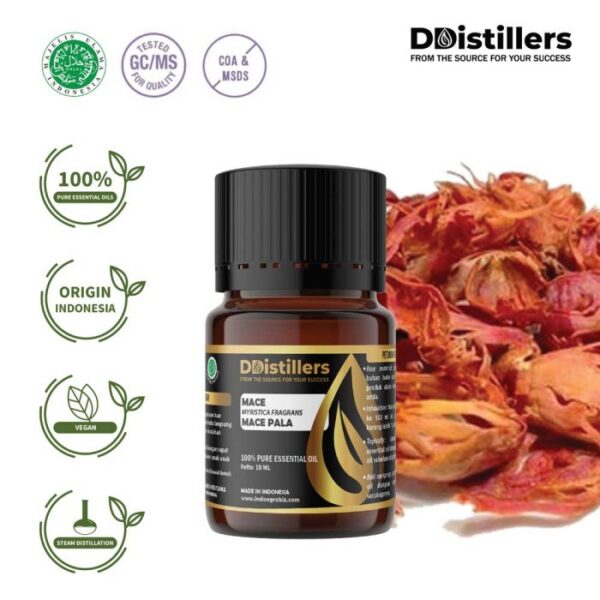 141a1ee44c6f4fca9b53d7ef0895fb4b.jpg Mace / Mace Pala / Fuli Essential Oil Pure 100%, 2-10ML GS