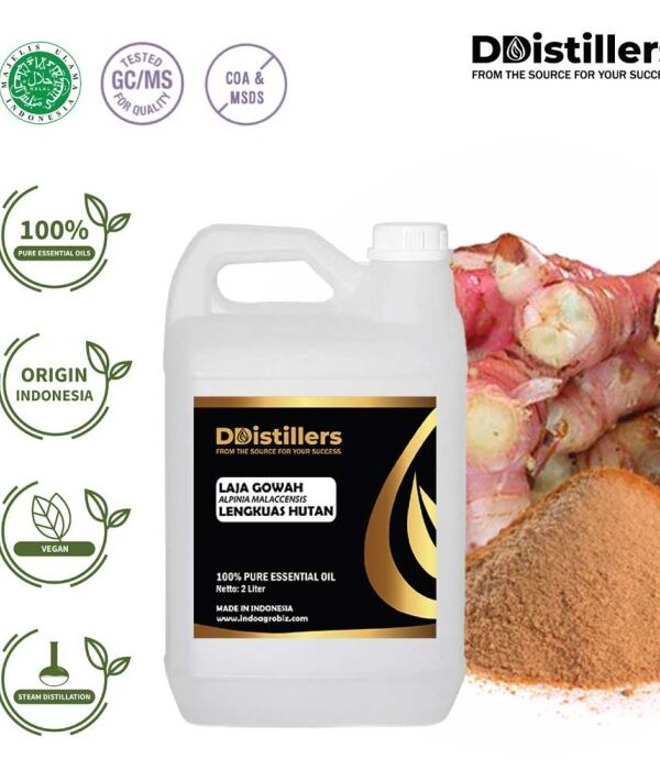 Laja Gowah / Lengkuas Hutan Essential Oil Pure 100%, 2L HDPE