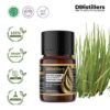 148f1a28127444a4b2352903984fef1c.jpg Vetiver (Dark) / Akar Wangi Gelap Essential Oil Pure 100%, 2-10ML GS