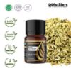 14cfb073a4604f8991fcd8e8b6db67ea.jpg Fennel / Adas Pedas Essential Oil Pure 100%, 2-10ML GS