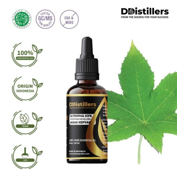 Jatropha SCFE / Jarak Kepyar Essential Oil Pure 100%, 50-100ML GS