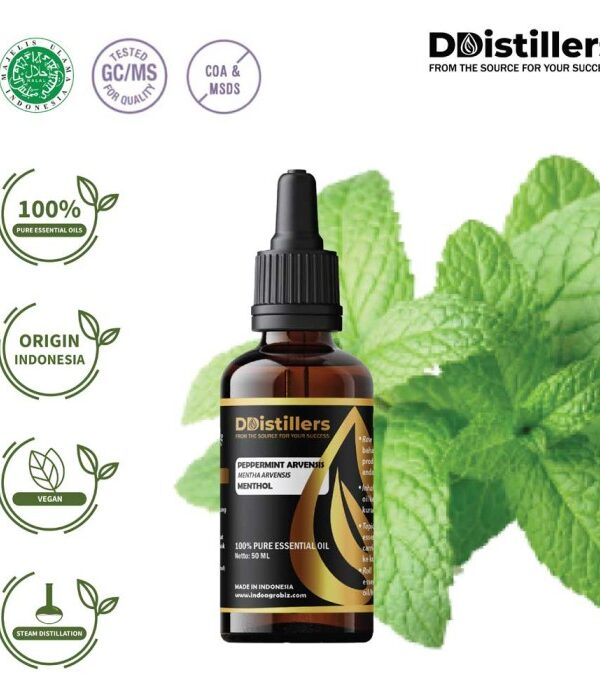 Peppermint (Cornmint) / Cornmint Essential Oil Pure 100%, 50-100ML GS