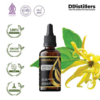 Cananga (Java) / Kenanga Jawa Essential Oil Pure 100%, 50-100ML GS
