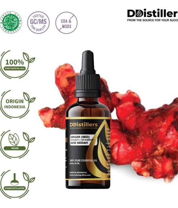 Ginger (Red) / Jahe Merah Essential Oil Pure 100%, 50-100ML GS