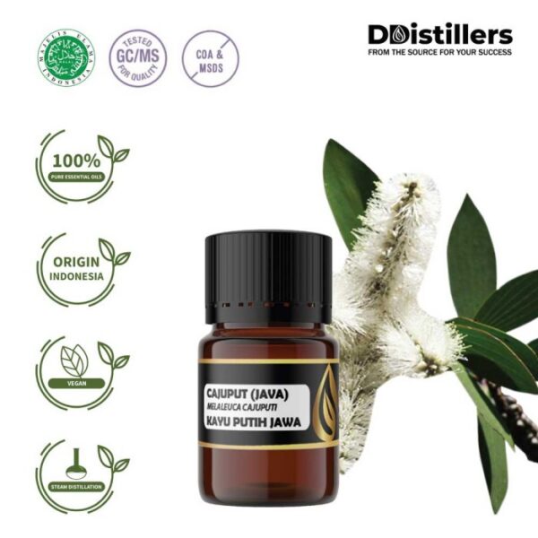 Cajuput (Java) / Kayu Putih Jawa Essential Oil Pure 100%, 2-10ML GS
