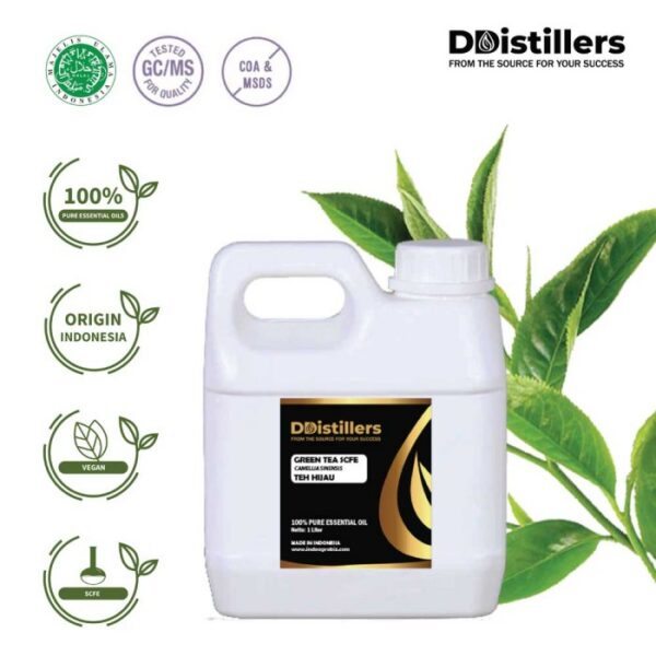 Green Tea SCFE / Teh Hijau Essential Oil Pure 100%, 500ML-1L HDPE/SS