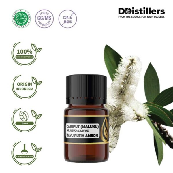 Cajuput (Maluku) / Kayu Putih Ambon Essential Oil Pure 100%, 2-10ML GS