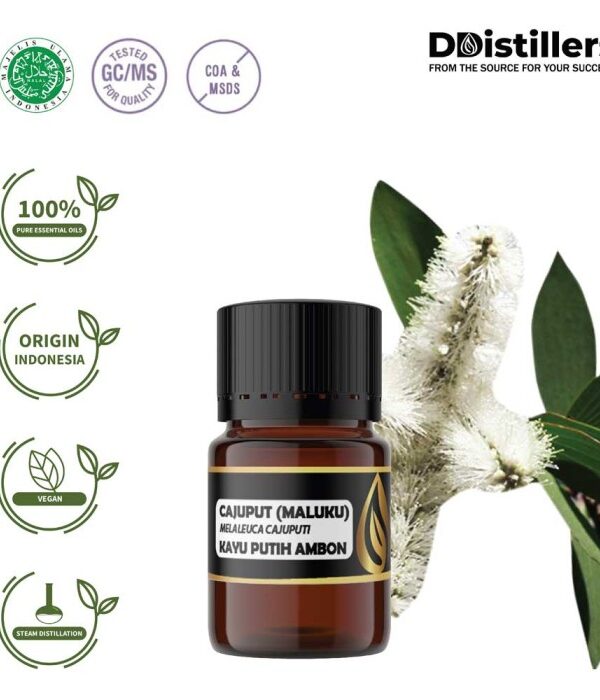 Cajuput (Maluku) / Kayu Putih Ambon Essential Oil Pure 100%, 2-10ML GS