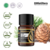 1929375561c146c2a0ed6f4e97746fe7.png Pine / Pinus Essential Oil Pure 100%, 2-10ML GS