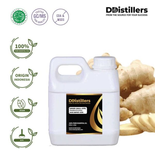 Ginger (Small SCFE) / Jahe Emprit Essential Oil Pure 100%, 500ML-1L HDPE/SS