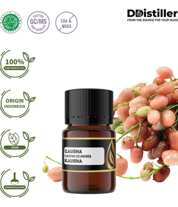 Clausena / Klausena Essential Oil Pure 100%, 2-10ML GS