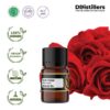 1a66dd5f97f145d294e382c0cd3efd23.jpg Rose Steam / Mawar Essential Oil Pure 100%, 1-12ML GS