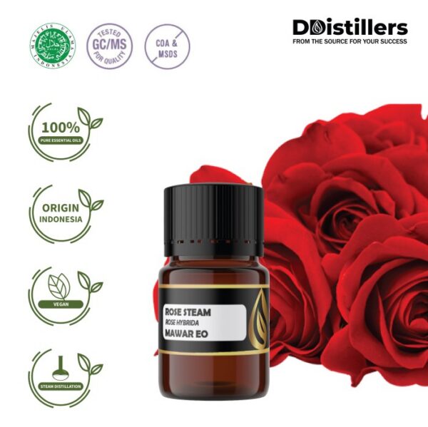 1a66dd5f97f145d294e382c0cd3efd23.jpg Rose Steam / Mawar Essential Oil Pure 100%, 1-12ML GS