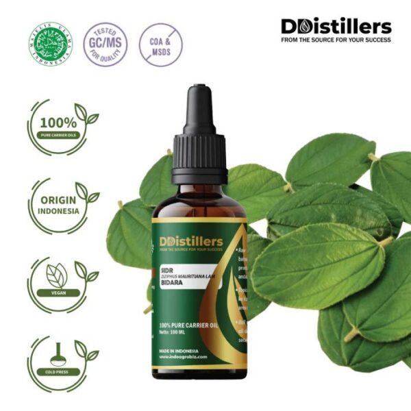 Sidr / Bidara Carrier Oil Pure 100%, 50-100ML GS