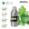 Coriander Leaf / Daun Ketumbar Essential Oil Pure 100%, 500ML-1L HDPE/SS
