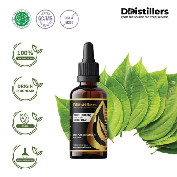 Betel (Green) / Sirih Hijau Essential Oil Pure 100%, 50-100ML GS