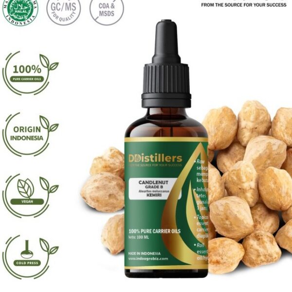 1cb7e23a20024277a189d62a2cca3dff.jpg Candlenut / Kemiri Cold Press Grade B Carrier Oil Pure 100%, 50-100ML GS