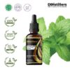 Peppermint (Cornmint) / Cornmint Essential Oil Pure 100%, 50-100ML GS
