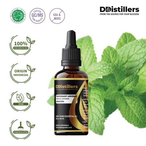 Peppermint (Cornmint) / Cornmint Essential Oil Pure 100%, 50-100ML GS