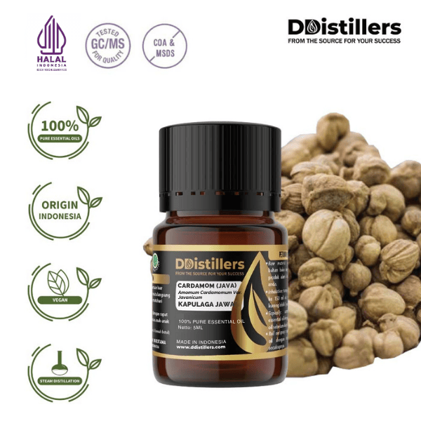Cardamom (Java) / Kapulaga Essential Oil Pure 100%, 2-10ML GS