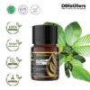 Gurjun Light / Keruing Essential Oil Pure 100%, 2-10ML GS