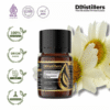 Chamomile (Roman) / Bunga Camomile Romawi Essential Oil Pure 100%, 2-10ML GS