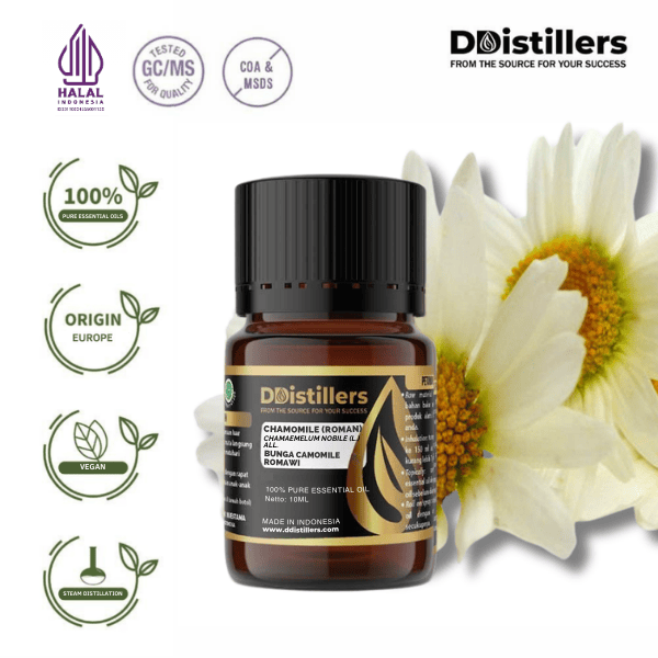 Chamomile (Roman) / Bunga Camomile Romawi Essential Oil Pure 100%, 2-10ML GS