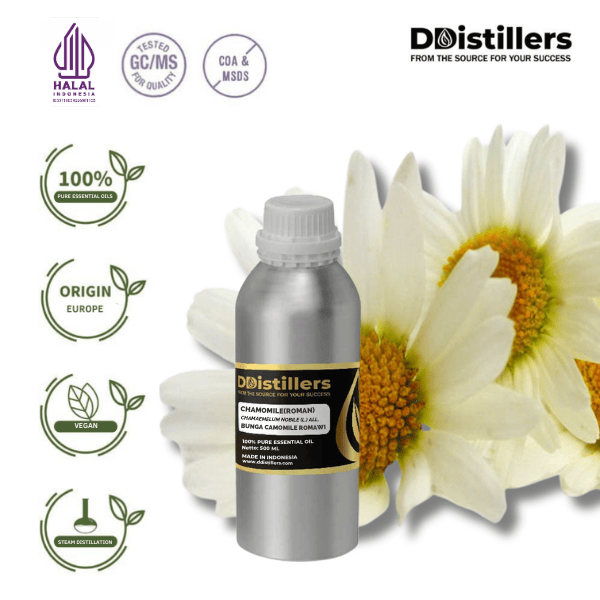 Chamomile (Roman) / Bunga Camomile Romawi Essential Oil Pure 100%, 500ML-1L HDPE/SS