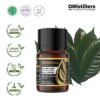 Nutmeg Leaf / Daun Pala Essential Oil Pure 100%, 2-10ML GS