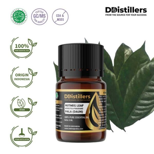 Nutmeg Leaf / Daun Pala Essential Oil Pure 100%, 2-10ML GS