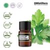 Coriander Leaf / Daun Ketumbar Essential Oil Pure 100%, 2-10ML GS