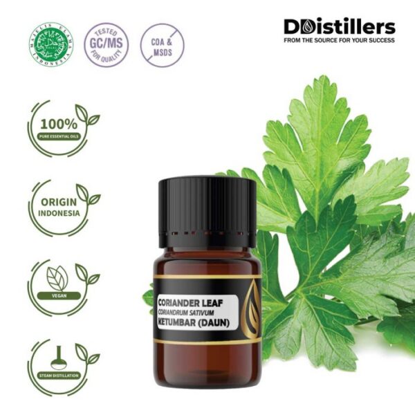 Coriander Leaf / Daun Ketumbar Essential Oil Pure 100%, 2-10ML GS