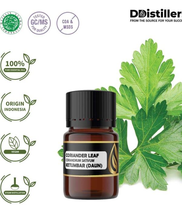 Coriander Leaf / Daun Ketumbar Essential Oil Pure 100%, 2-10ML GS