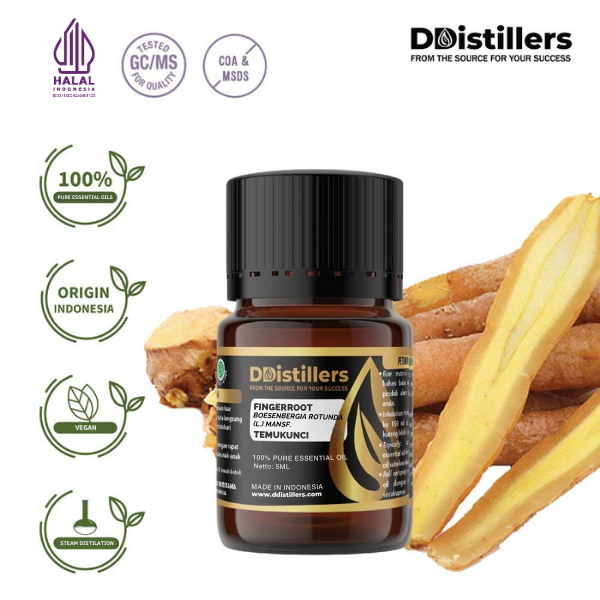 22e95db24c254688867289a0ed76a157.png Fingerroot / Temukunci Essential Oil Pure 100%, 2-10ML GS