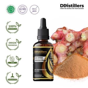 Lajagowah / Lengkuas Hutan Essential Oil Pure 100%, 50-100ML GS