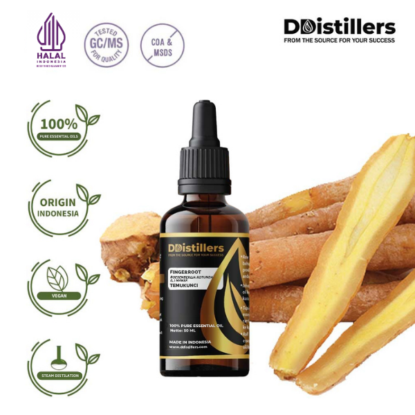 2457a15291a34b0d8b76fa5d79faa0e2.png Fingerroot / Temukunci Essential Oil Pure 100%, 50-100ML GS