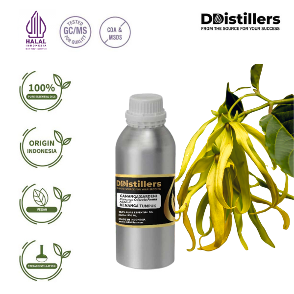 Cananga (Garden) / Kenanga Tumpuk Essential Oil Pure 100%, 500ML-1L HDPE/SS