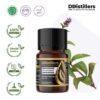 Pennyroyal / Pennyroyal Essential Oil Pure 100%, 2-10ML GS