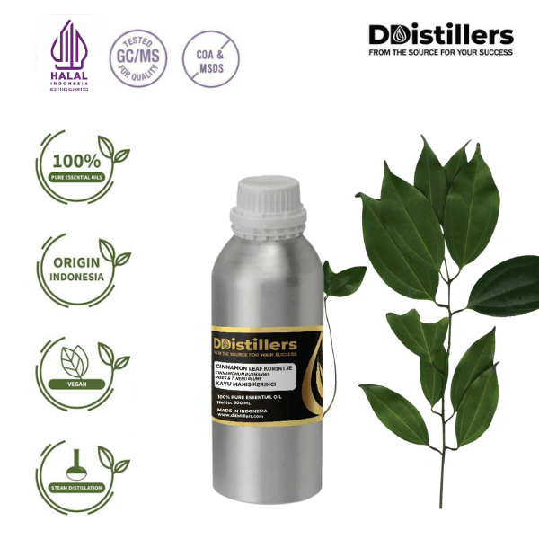 Cinnamon Leaf Korintje / Daun Kayu Manis Kerinci Essential Oil Pure 100%, 500ML-1L HDPE/SS