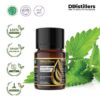 Patchouli (Sumatra) / Nilam (Sumatra) Essential Oil Pure 100%, 2-10ML GS