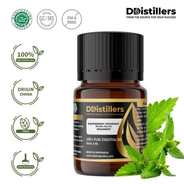 Peppermint (Spearmint) / Spearmint Essential Oil Pure 100%, 2-10ML GS