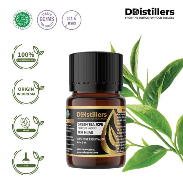 Green Tea SCFE / Teh Hijau Essential Oil Pure 100%, 2-10ML GS